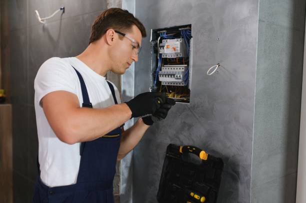 Best Electrician for Home Renovation  in Pleasant Prairie, WI